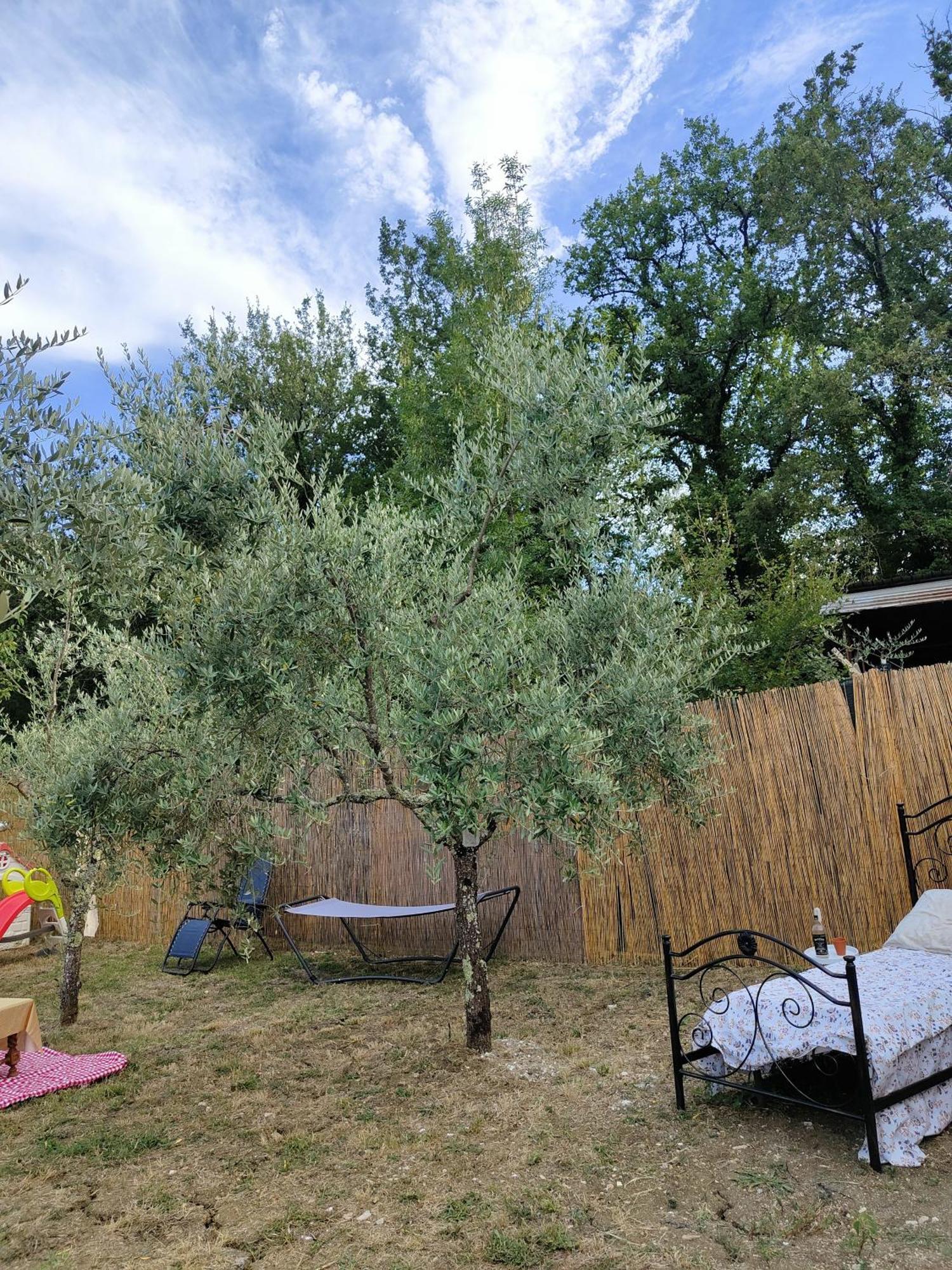 Casale Dei Ricordi Panzió Arce Kültér fotó